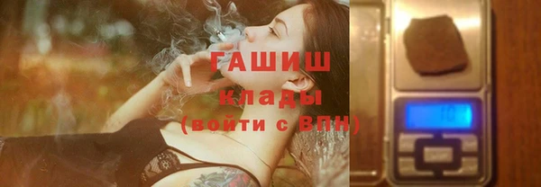 стаф Дмитров