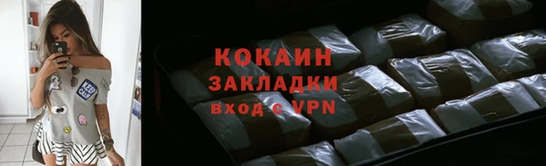 стафф Ельня